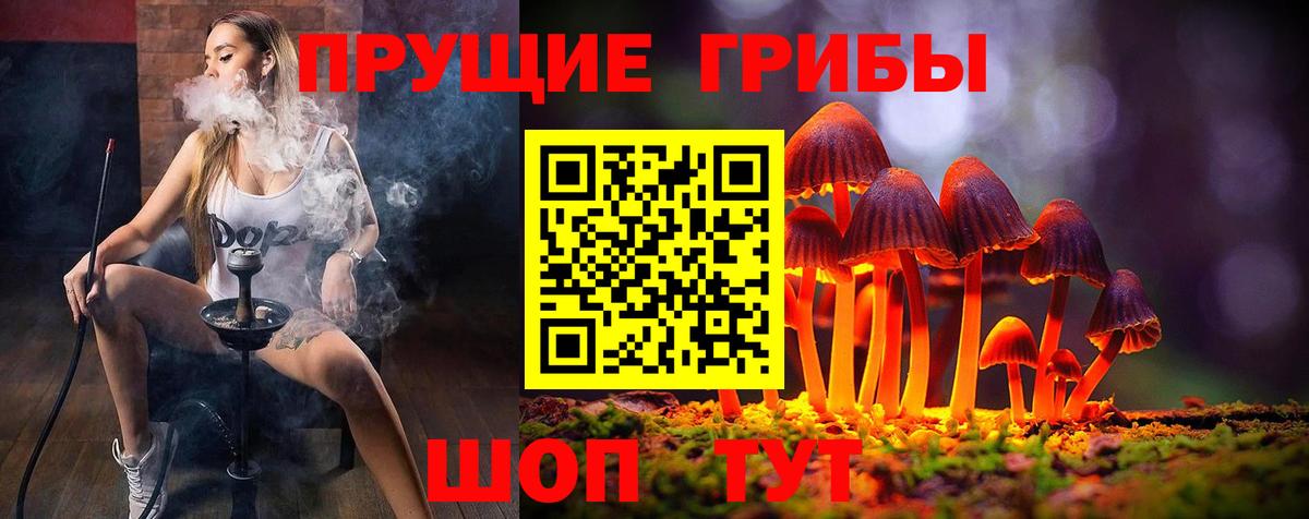 как найти   Вход с VPN  Серпухов  Галлюциногенные грибы мицелий  Галлюциногенные грибы Cubensis 